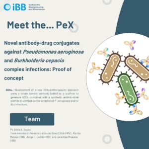 Exploratory Project (PeX): Novel antibody-drug conjugates against Pseudomonas aeruginosa and Burkholderia cepacia complex infections: Proof of concept